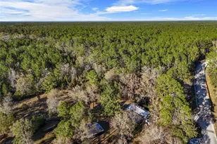 1317 NE Drew Rd, Lake City, FL 32055 - Photo 23