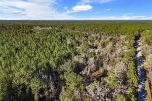 1317 NE Drew Rd, Lake City, FL 32055 - Photo 21