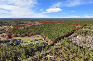 1317 NE Drew Rd, Lake City, FL 32055 - Photo 19