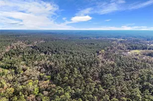 1317 NE Drew Rd, Lake City, FL 32055 - Photo 25