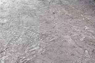 413 SE Lomond Ave, Lake City, FL 32025 - Photo 1