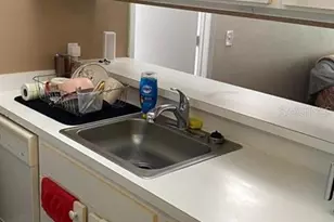 3800 SW 20th Ave Ave, Gainesville, FL 32607 - Photo 5