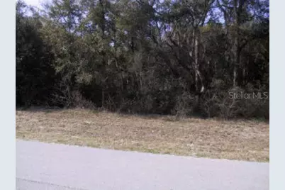 5 W Park Avenue, Chiefland, FL 32626 - Photo 1