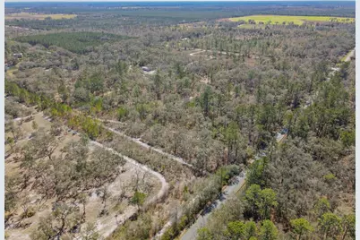 3949 184th Street, Wellborn, FL 32094 - Photo 23