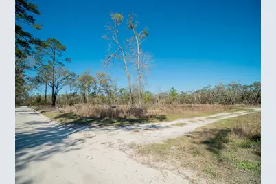 3949 184th Street, Wellborn, FL 32094 - Photo 33