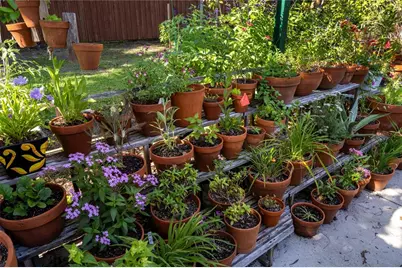 4426 NW 43rd Place, Gainesville, FL 32606 - Photo 33