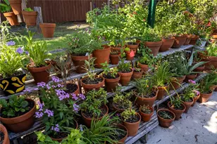 4426 NW 43rd Pl, Gainesville, FL 32606 - Photo 33