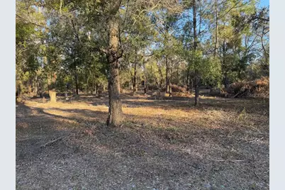 Roanoke Terrace, Fort White, FL 32038 - Photo 1