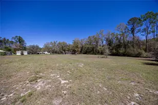 6917 NW 254 Ave, Alachua, FL 32615 - Photo 97