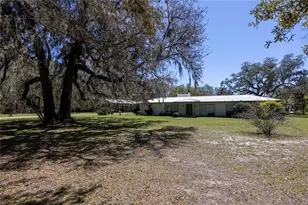 6917 NW 254 Ave, Alachua, FL 32615 - Photo 77
