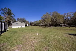 6917 NW 254 Ave, Alachua, FL 32615 - Photo 11