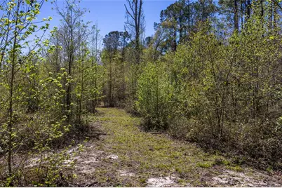 6917 NW 254th Avenue, Alachua, FL 32615 - Photo 79