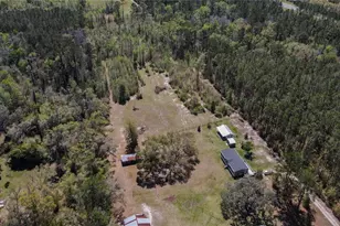 6917 NW 254 Ave, Alachua, FL 32615 - Photo 81