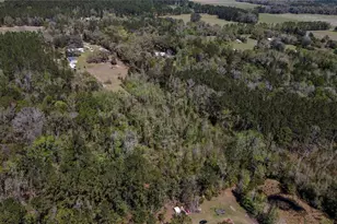 6917 NW 254 Ave, Alachua, FL 32615 - Photo 81