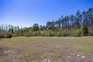 6917 NW 254 Ave, Alachua, FL 32615 - Photo 35