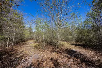 6917 NW 254th Avenue, Alachua, FL 32615 - Photo 37
