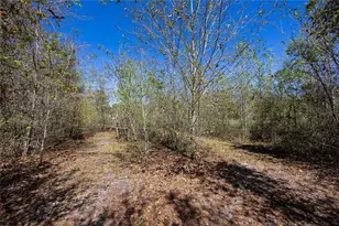 6917 NW 254 Ave, Alachua, FL 32615 - Photo 37