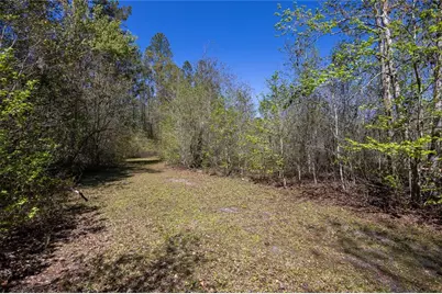 6917 NW 254th Avenue, Alachua, FL 32615 - Photo 5