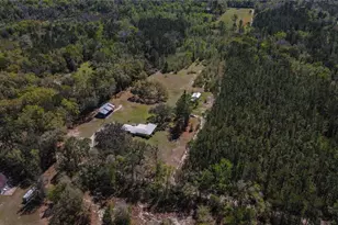 6917 NW 254 Ave, Alachua, FL 32615 - Photo 91