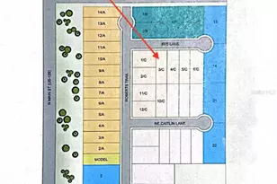 3315 E Iris Ln, Bell, FL 32619 - Photo 11