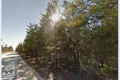 Lot 3 NE 130th Avenue, Williston, FL 32696 - Photo 1