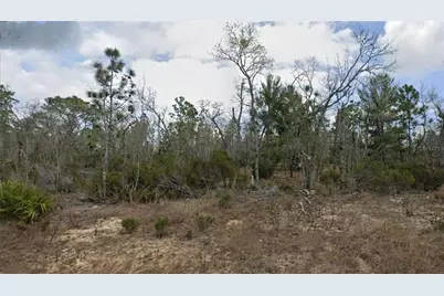 Lot 33 Twin Lakes Blvd, Interlachen, FL 32148 - Photo 3