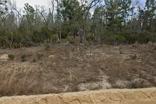 Lot 33 Twin Lakes Blvd, Interlachen, FL 32148 - Photo 1