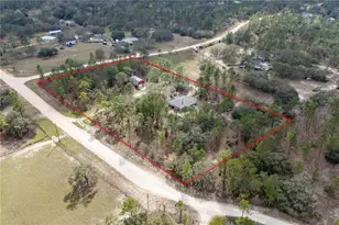 6550 SE 123rd Terrace, Morriston, FL 32668 - Photo 23