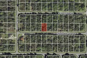 13070 Chiminiello Dr, Port Charlotte, FL 33953 - Photo 1