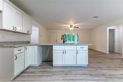 18 Malauka Loop Pass, Ocklawaha, FL 32179 - Photo 17