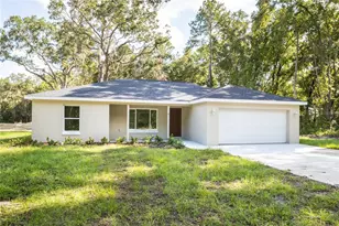 18 Malauka Loop Pass, Ocklawaha, FL 32179 - Photo 5