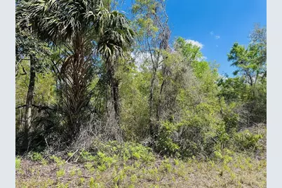 0 NW 30th Street, Chiefland, FL 32626 - Photo 11