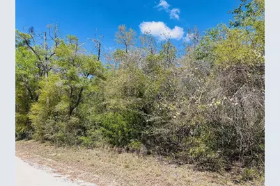 0 NW 30th Street, Chiefland, FL 32626 - Photo 3