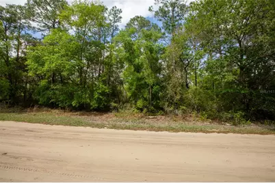 5491 Jefferson Street, Keystone Heights, FL 32656 - Photo 9