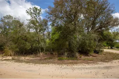 5491 Jefferson Street, Keystone Heights, FL 32656 - Photo 13