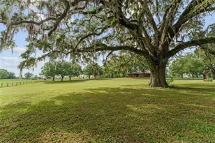 3149 SW 200th Ave, Dunnellon, FL 34431 - Photo 87