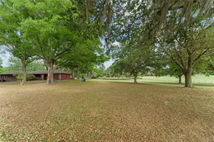 3149 SW 200th Ave, Dunnellon, FL 34431 - Photo 11