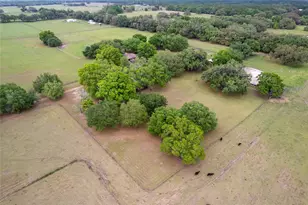 3149 SW 200th Ave, Dunnellon, FL 34431 - Photo 67