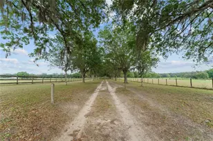 3149 SW 200th Ave, Dunnellon, FL 34431 - Photo 5