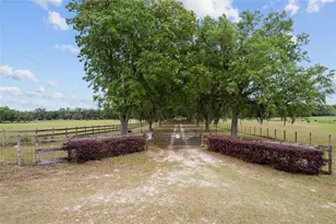 3149 SW 200th Ave, Dunnellon, FL 34431 - Photo 5