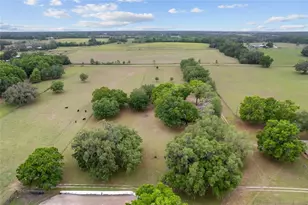 3149 SW 200th Ave, Dunnellon, FL 34431 - Photo 83