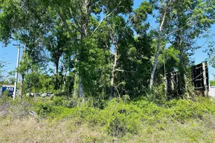 0 N Young Blvd, Chiefland, FL 32626 - Photo 1