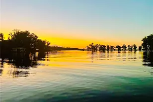 6203 West Blvd, Melrose, FL 32666 - Photo 41