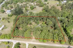 6030 Blueberry Hill Rd, Keystone Heights, FL 32656 - Photo 9