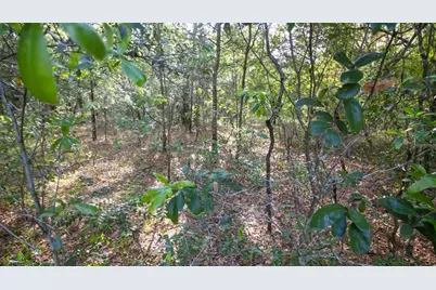 7685 Colorado Avenue, Keystone Heights, FL 32656 - Photo 7