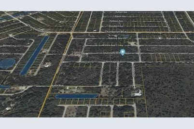 13101 Chiminiello Drive, Port Charlotte, FL 33953 - Photo 3