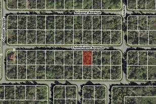13101 Chiminiello Dr, Port Charlotte, FL 33953 - Photo 1