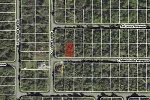 13046 Chiminiello Dr, Port Charlotte, FL 33953 - Photo 1