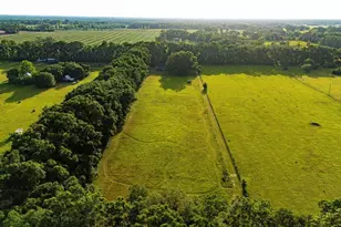 14974 NW 214th Terrace, High Springs, FL 32643 - Photo 51