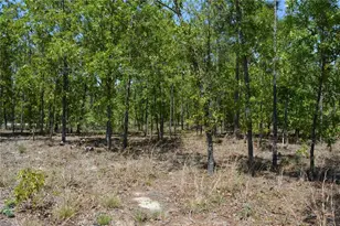2640 NE 74th Ave, High Springs, FL 32643 - Photo 45
